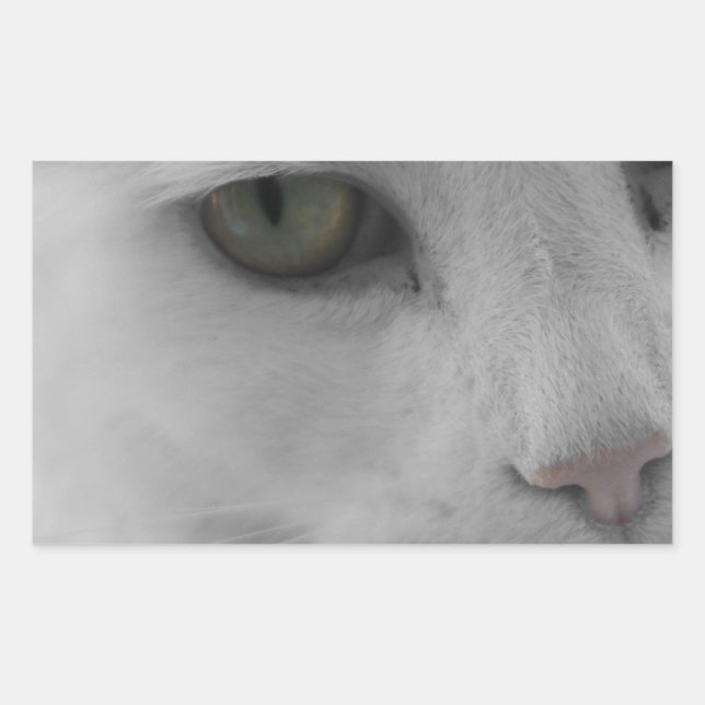 Black and white cats face rectangular sticker (Front)
