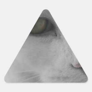Black and white cats face triangle sticker