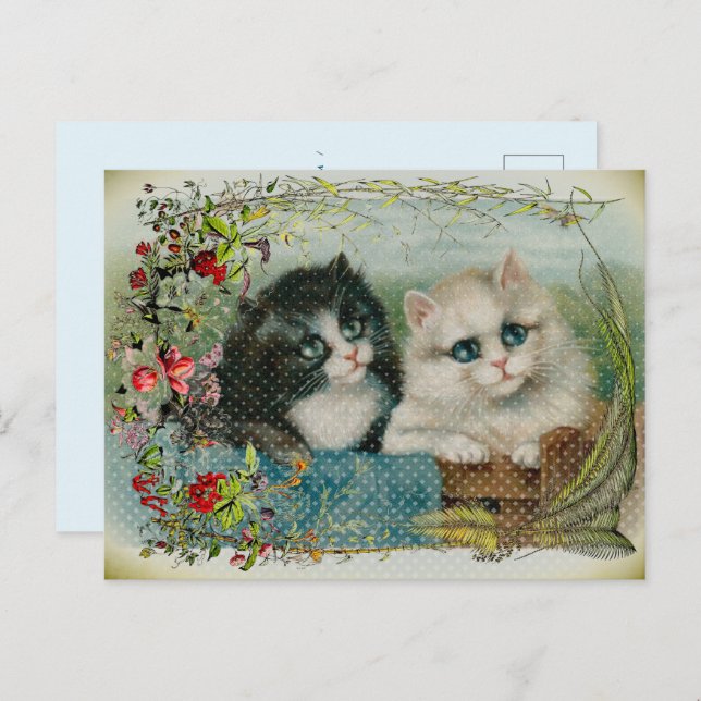 Black and White Cats Floral Border Holiday Postcard (Front/Back)