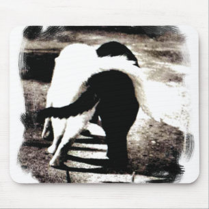 Black and White Cats Mouse Mat