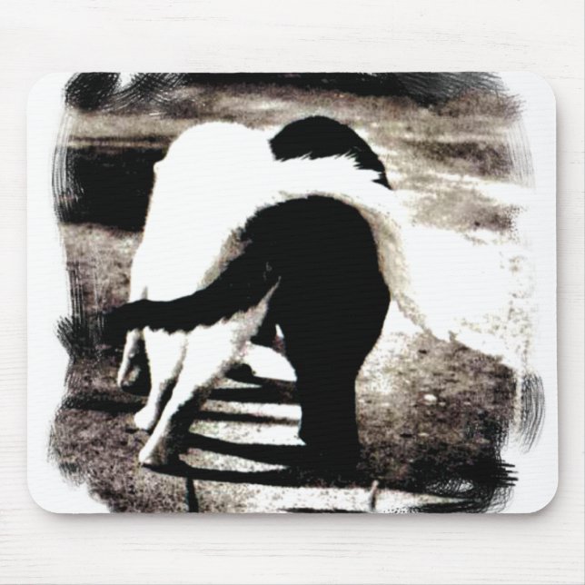 Black and White Cats Mouse Mat (Front)