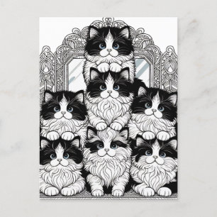 Black and White Cats Postcard