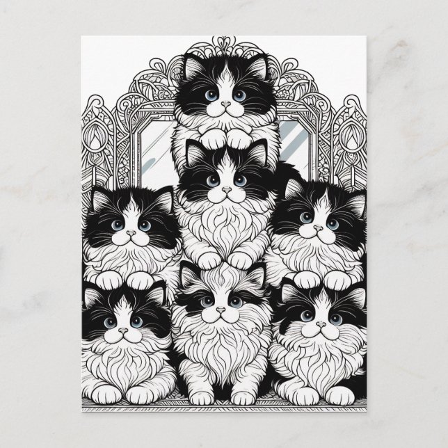 Black and White Cats Postcard (Front)