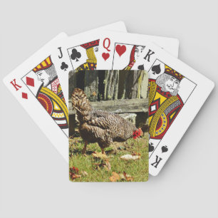 Black and white Chicken by fence Playing Cards
