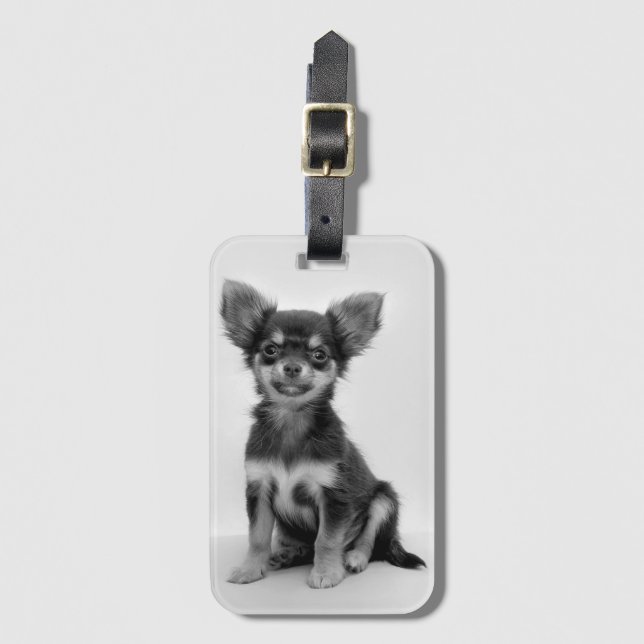 Black and White Chihuahua Puppy Photo Luggage Tag (Front Vertical)