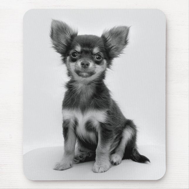 Black and White Chihuahua Puppy Photo Mouse Mat (Front)