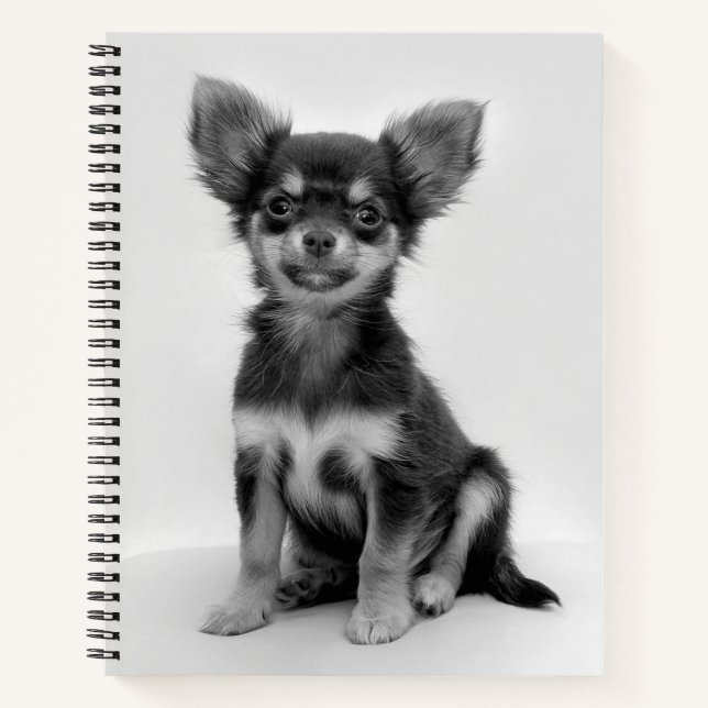 Black and White Chihuahua Puppy Photo Notebook (Front)