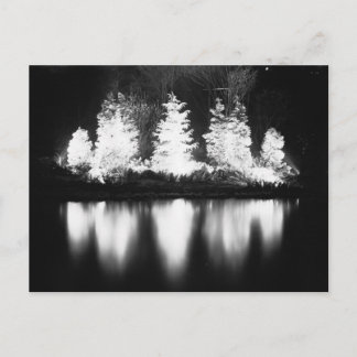 Black and White Christmas Tree Holiday Postcard