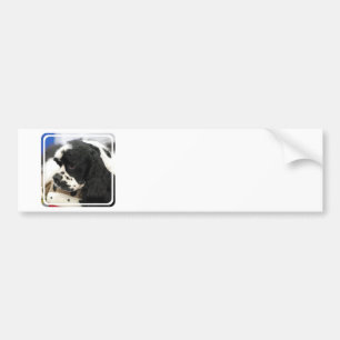 Black and White Cocker Spaniel Bumper Sticker