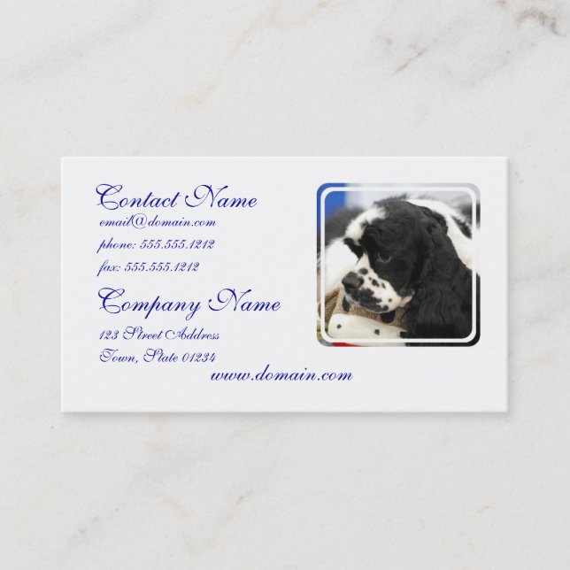Black and White Cocker Spaniel Business Cards (Front)