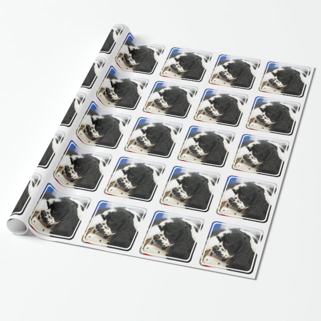 Black and White Cocker Spaniel Wrapping Paper (Unrolled)