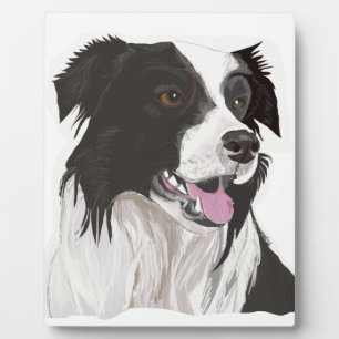 black and white collie brown eyes plaque