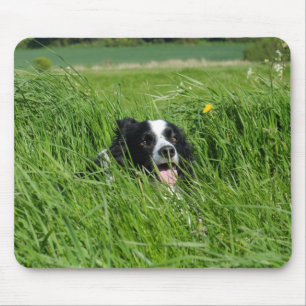 Black and White Collie in Grass Mouse Mat