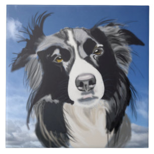 Black and White Collie Tile