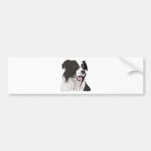 Black and White Collie with Brown eyes Bumper Sticker