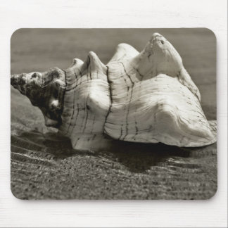 Black and White Conch Shell Mouse Mat