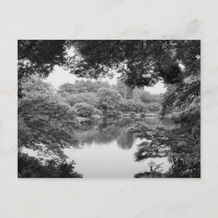 Black and white, cool, unique nature and lake postcard