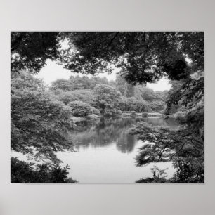 Black and white, cool, unique nature and lake poster
