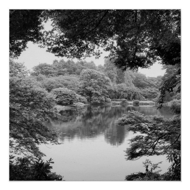 Black and white, cool, unique nature and lake poster (Front)