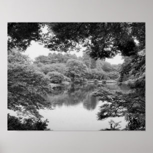 Black and white, cool, unique nature and lake poster