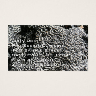 Black and White Coral I Abstract Nature Photo