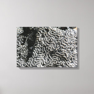Black and White Coral I Abstract Nature Photo Canvas Print