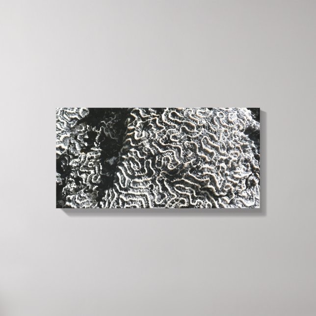Black and White Coral I Abstract Nature Photo Canvas Print (Front)