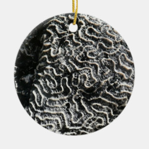 Black and White Coral I Abstract Nature Photo Ceramic Tree Decoration