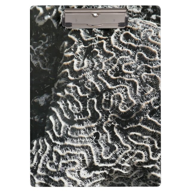 Black and White Coral I Abstract Nature Photo Clipboard (Front)