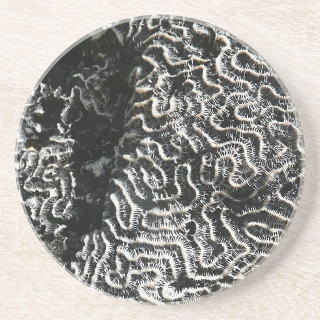 Black and White Coral I Abstract Nature Photo Coaster (Front)