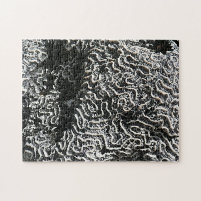 Black and White Coral I Abstract Nature Photo Jigsaw Puzzle (Horizontal)