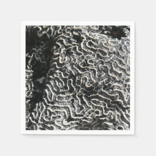 Black and White Coral I Abstract Nature Photo Napkin