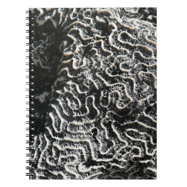 Black and White Coral I Abstract Nature Photo Notebook (Front)