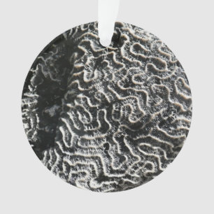 Black and White Coral I Abstract Nature Photo Ornament