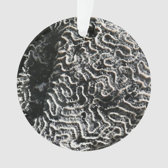 Black and White Coral I Abstract Nature Photo Ornament (Front)