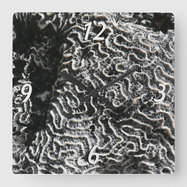 Black and White Coral I Abstract Nature Photo Square Wall Clock (Front)