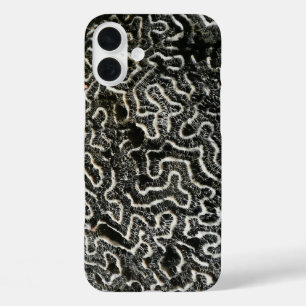 Black and White Coral II Abstract Nature Photo iPhone 16 Plus Case