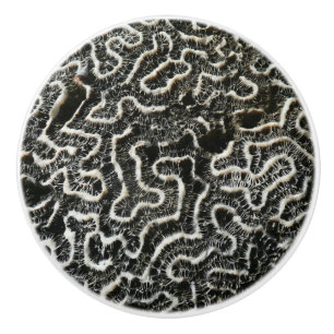 Black and White Coral II Abstract Nature Photo Ceramic Knob