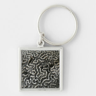 Black and White Coral II Abstract Nature Photo Key Ring