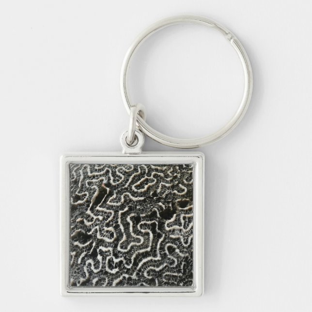 Black and White Coral II Abstract Nature Photo Key Ring (Front)