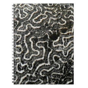 Black and White Coral II Abstract Nature Photo Notebook