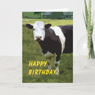 Black and white cow Birthday card