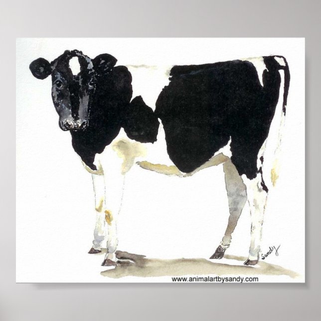 black and white cow poster (Front)