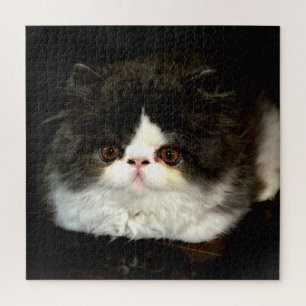 Black and White cute kitten Kitten Jigsaw Puzzle