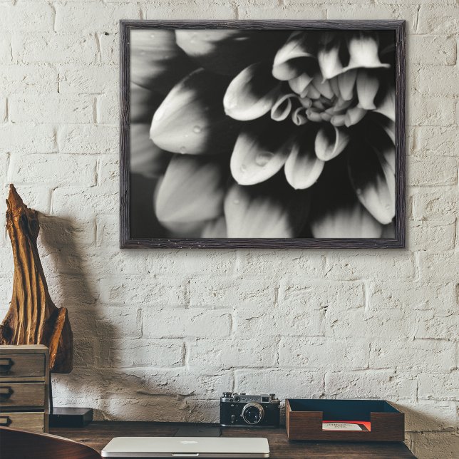 Black and White Dahlia Blossom Poster (Creator Uploaded)
