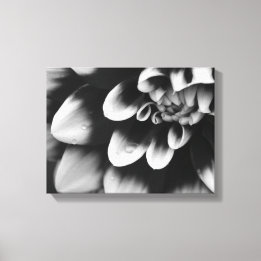 Black and White Dahlia Flower Blossom Canvas Print