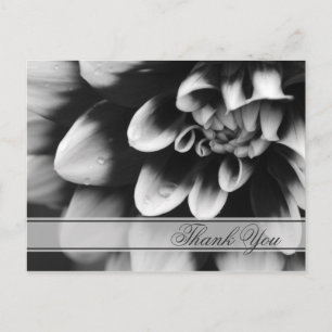 Black and White Dahlia Flower Thank You Postcard
