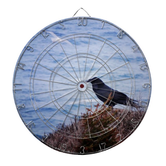 Black And White Dartboard (Front)