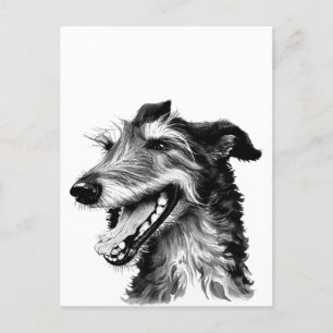 Black and white Deerhound   Cute Hound Postcard