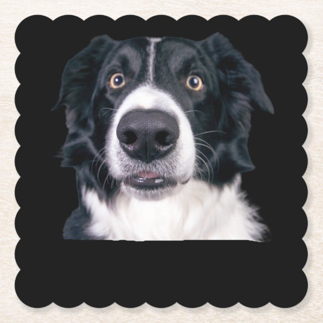 Black and White Dog Face Paper Coaster (Front)
